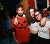 IMG_1966